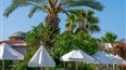 foto bazen hotela Pine House by Werde Hotels v stredisku Kemer v Turecku